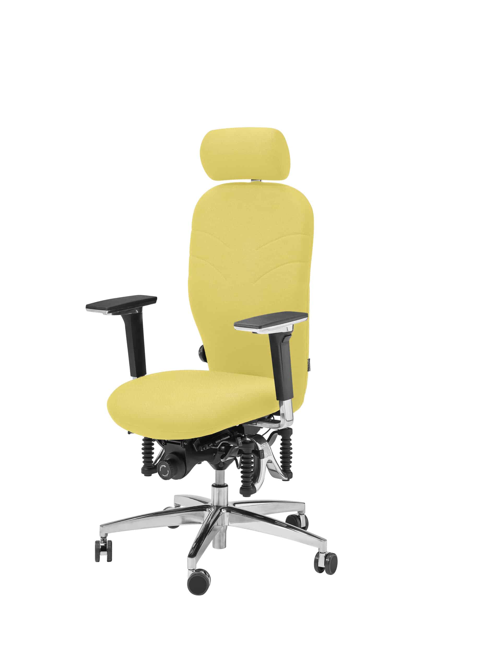 BIOSWING® 460 IQ Bestseller mit Beckenbalance