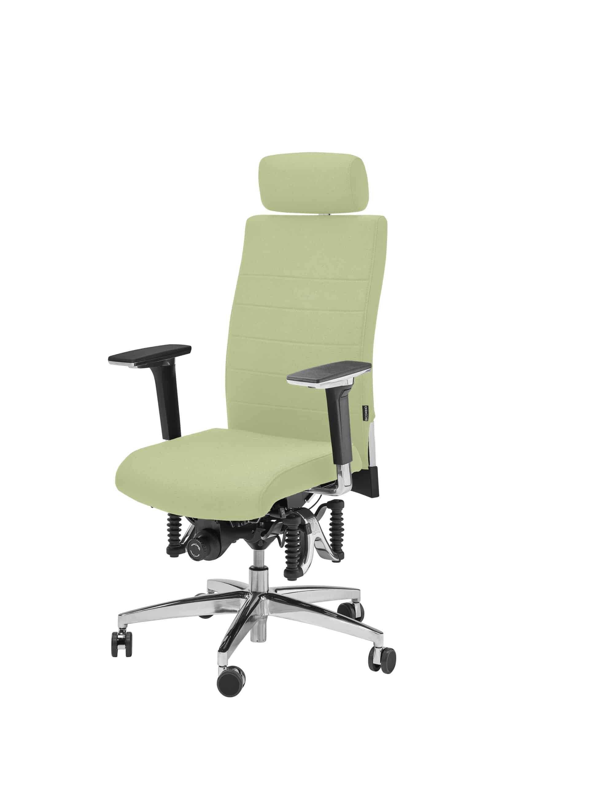 BIOSWING® 660 IQ Bestseller mit Beckenbalance