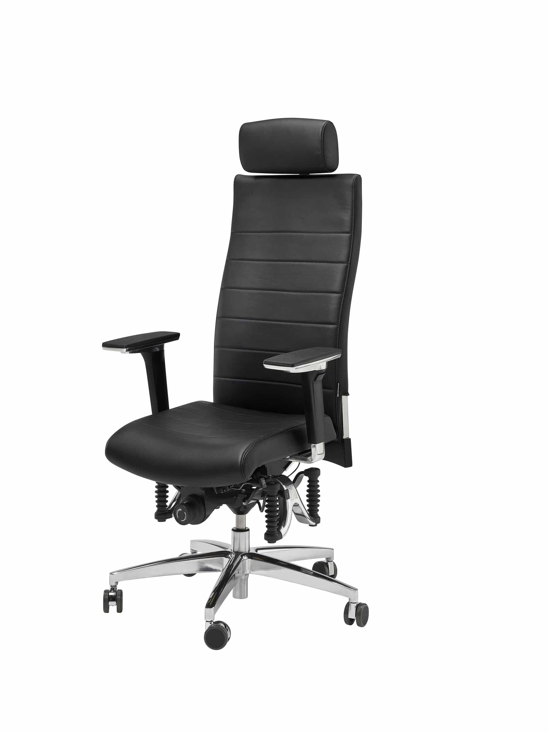 BIOSWING® 670 IQ Echtleder Bestseller mit Beckenbalance