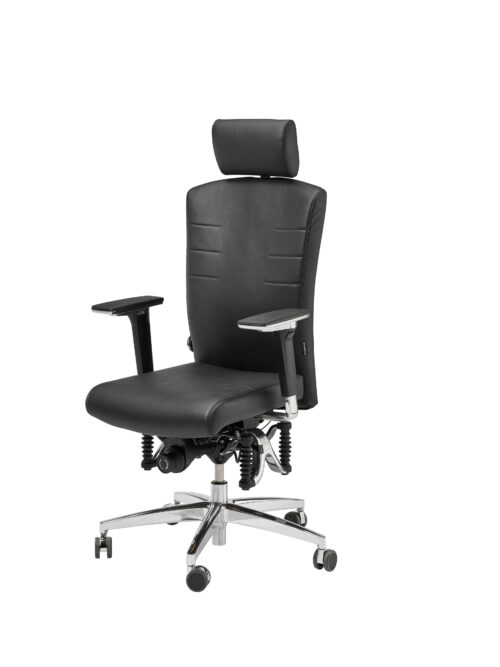 BIOSWING® 560 IQ Bestseller Echtleder mit Beckenbalance
